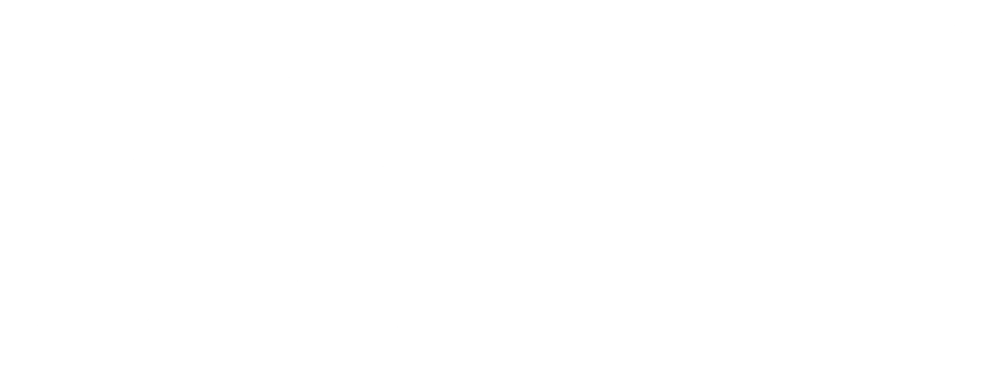 MS SRL-logo